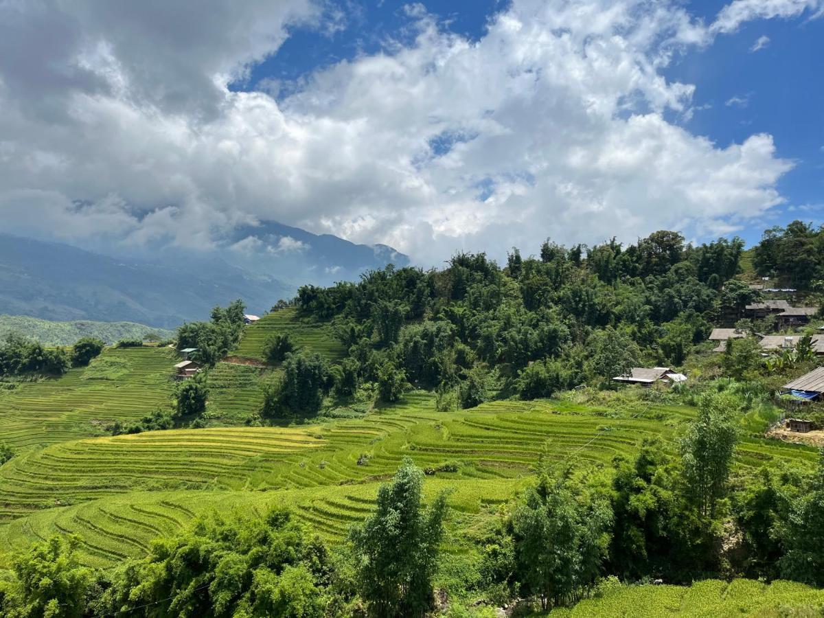 Sapa Big Tree Hmong Homestay エクステリア 写真