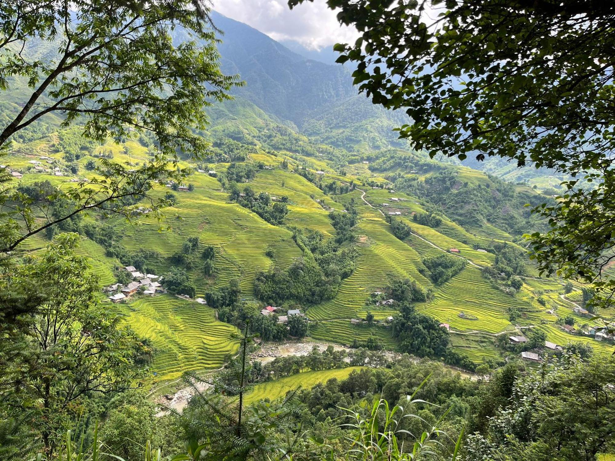 Sapa Big Tree Hmong Homestay エクステリア 写真